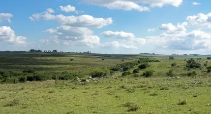 Uruguay entre destinos turísticos con baja amenaza terrorista