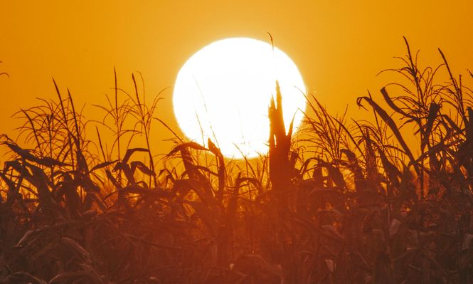 Agricultura: uno de los mayor obstáculos que tienen los productores es el impacto del cambio climático.