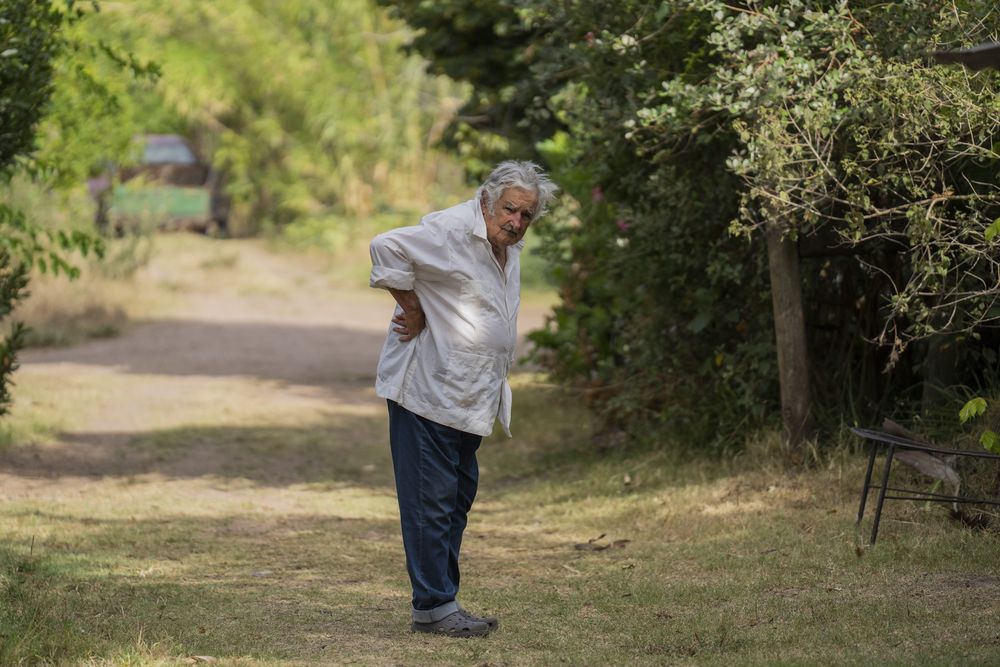 El expresidente uruguayo José Pepe Mujica espera para la llegada del presidente brasileño Luiz Inácio Lula da Silva, en us finca a las afueras de Montevideo, Uruguay, el 25 de enero de 2023. (AP Foto/Matilde Campodónico, Archivo)