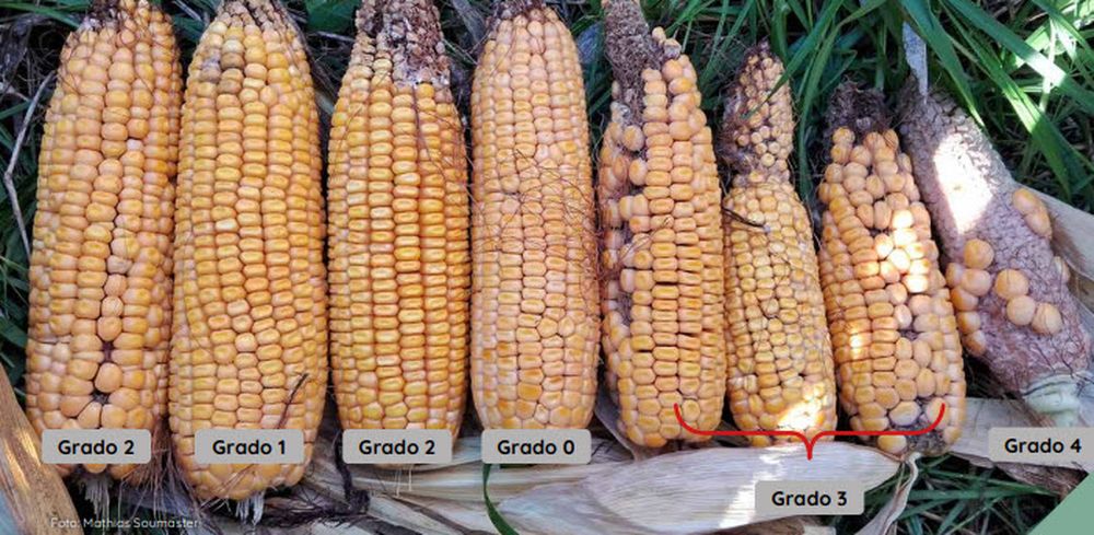 INIA activó otra asistencia tecnológica para el sector agrícola.