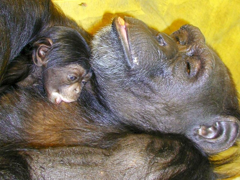 545f8b13bac79f49205b09d8a164e3a3ccad9ca9