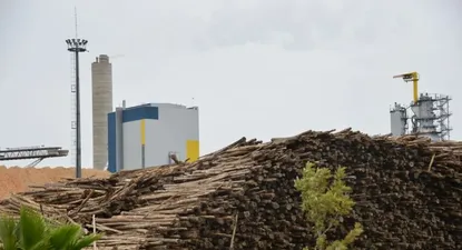 El Observador | 0022121613.webp