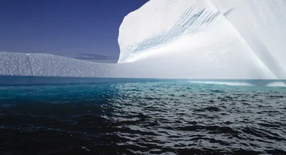 El Observador | 0000340097.webp