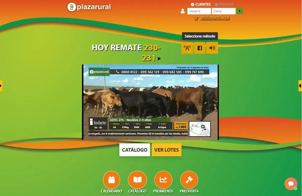 La venta 230 de Plaza Rural se desarrolla en cuatro días.