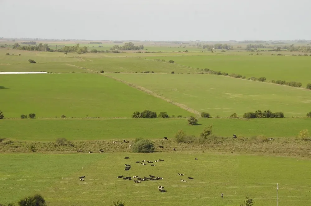 El proyecto, que aún es una idea, se le presentará próximamente al presidente de la República.