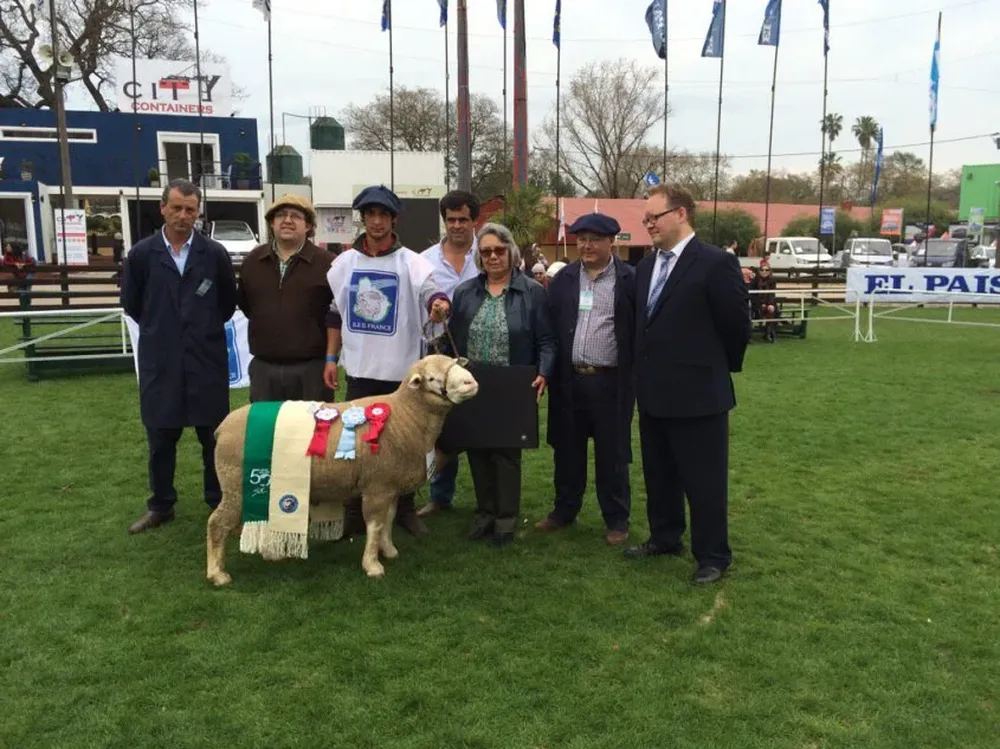 Gran Campeón PI de la raza Ile de France de Los Gurises SG
