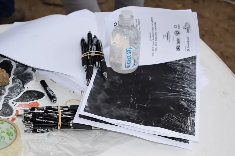 Se adoptaron medidas de prevención.