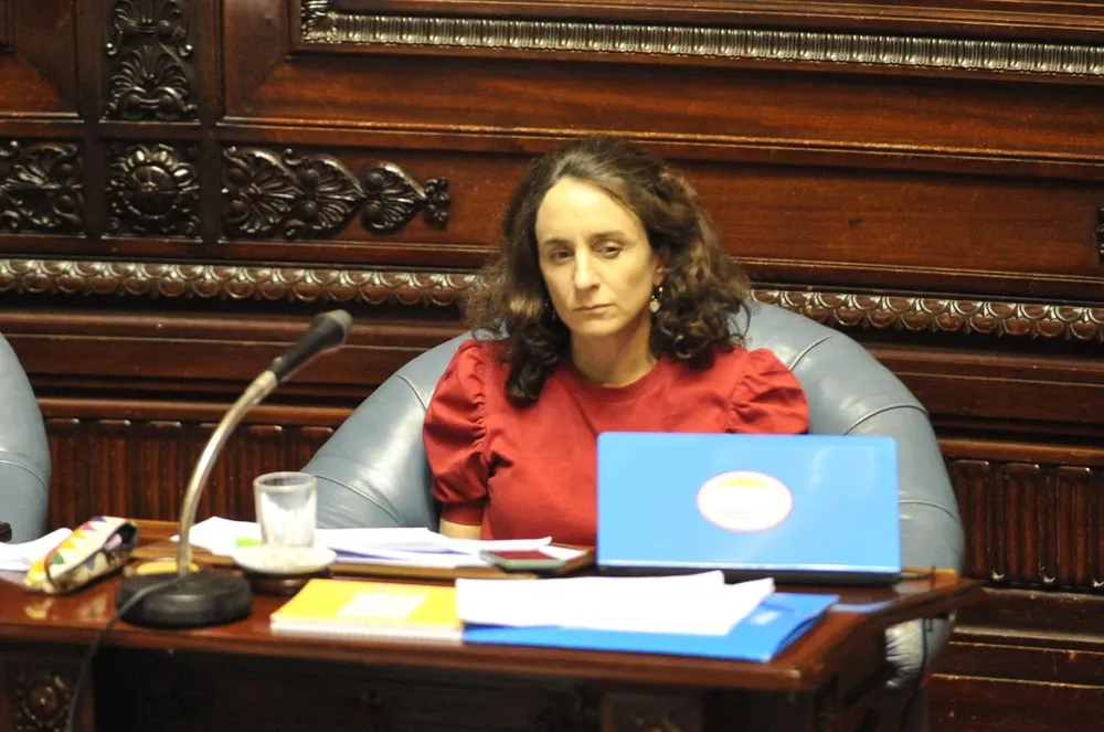 Carmen Sanguinetti en debate en Cámara de Senadores