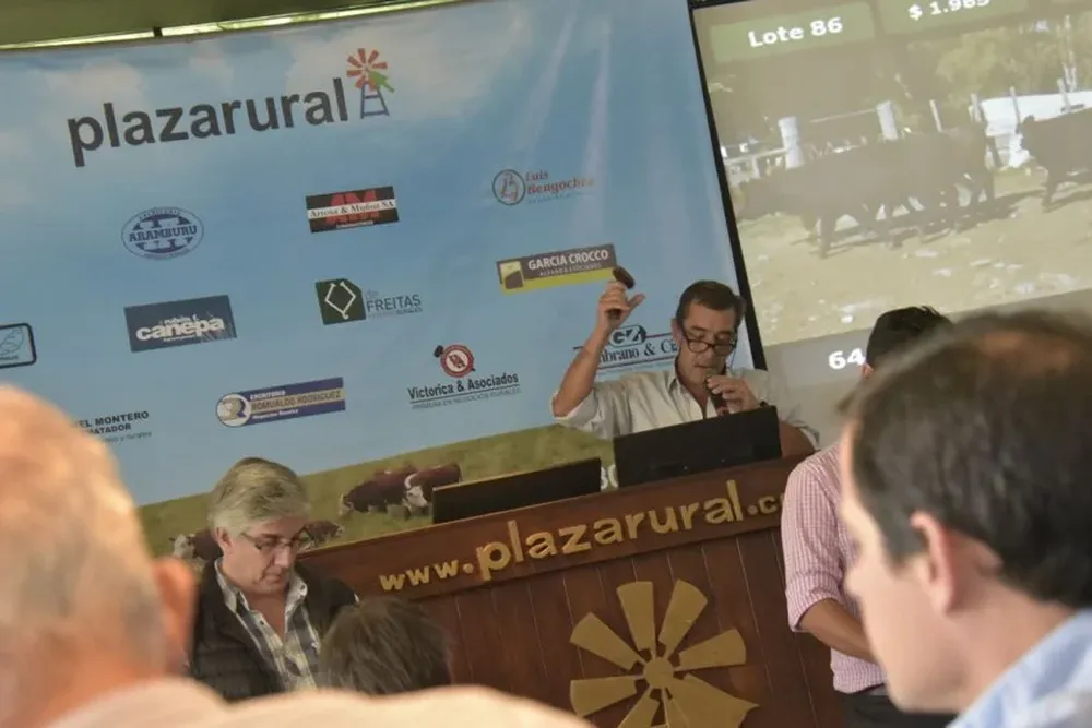 Plazarural remata en el hotel Cottage con transmisión en vivo por televisión e internet