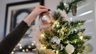 Bajó el costo de la decoración para navidad.