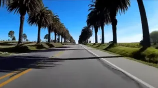 Sector de Ruta 1 con las palmeras