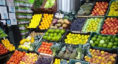 El tomate, el morrón, el zapallito y la lechuga bajaron considerablemente