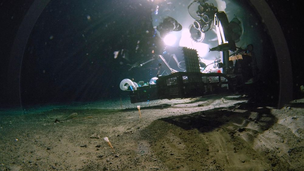 El sumergible tripulado Shinkai 6500 durante una expedición a aguas profundas en la fosa de Nankai, frente a la costa de Japón.