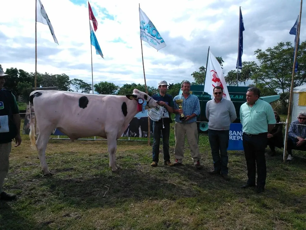 El Gran Campeón Holando de Sociedad Ganadera San Alberto en Cardal, Florida