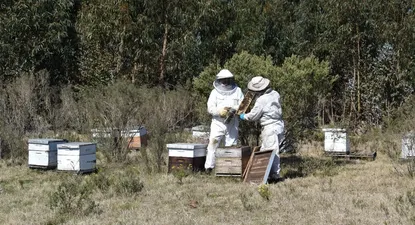 El Observador | 1619644061284.webp