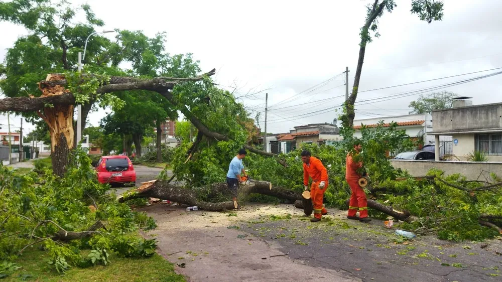 Personal del municipio G trabaja en la calle Vedia tras el temporal de Año Nuevo
