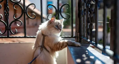 El Observador | 1709568784228.webp