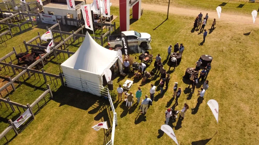 El stand de la raza Hereford en Expo Melilla 2022.