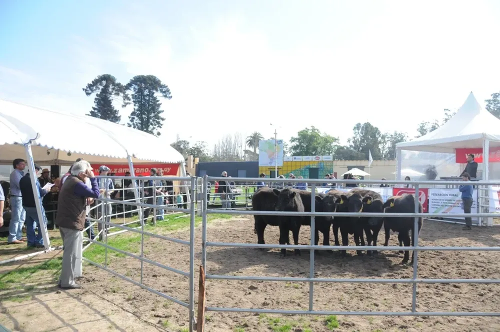 Una estrategia del escritorio y la cabaña muy efectiva