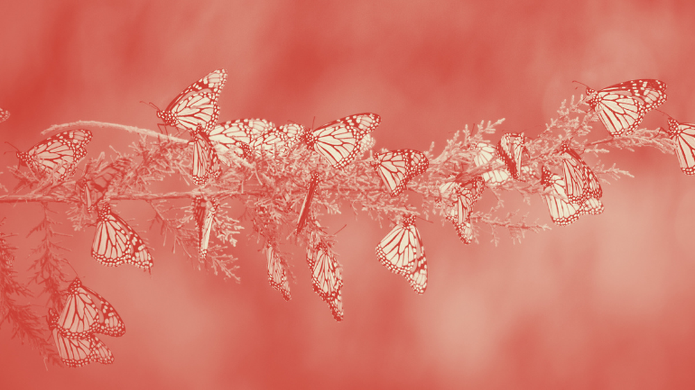 Diseño sin título (52).png