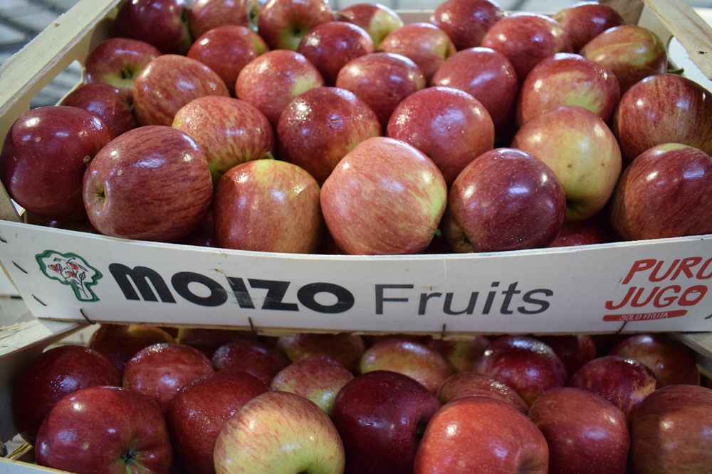 Manzanas, en la UAM.