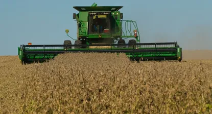 Expansiónde la economía uruguaya&nbsp;