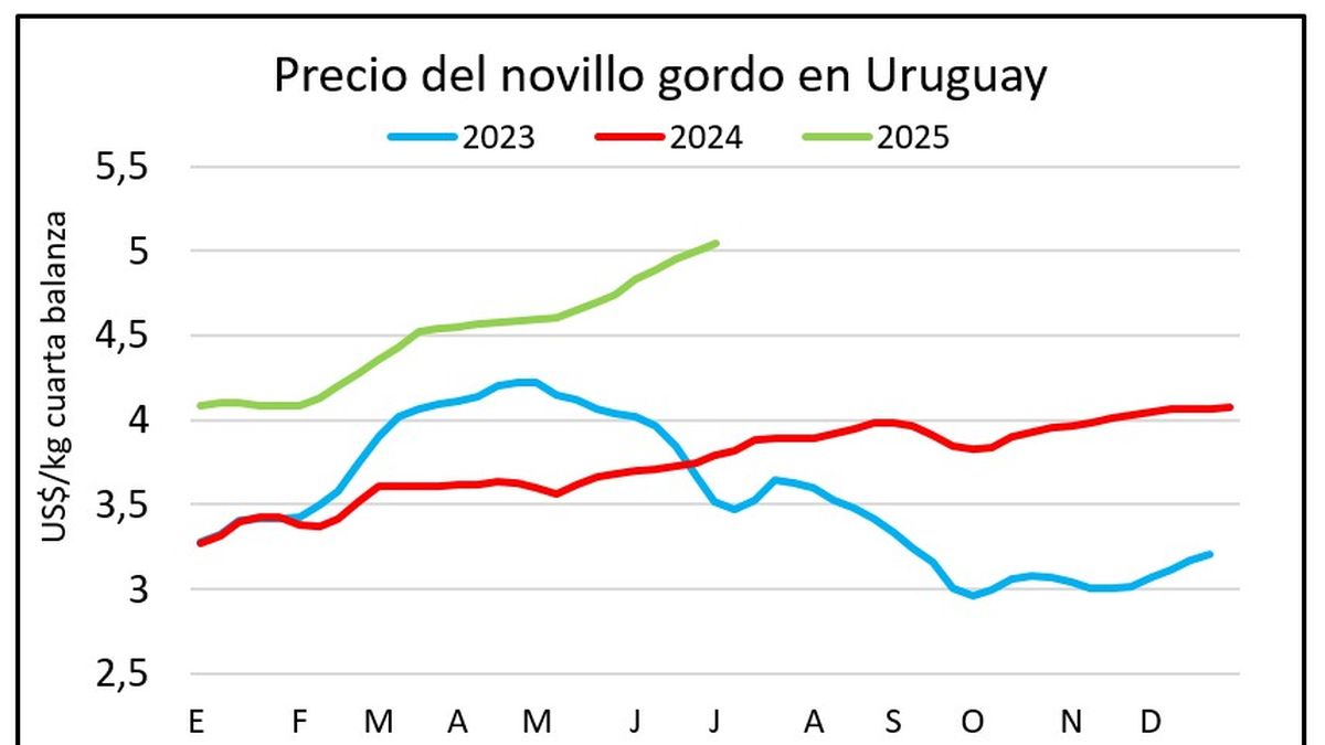 Mercado ganadero encendido con precios por novillos que superan los US$ 5,10 por kilo
