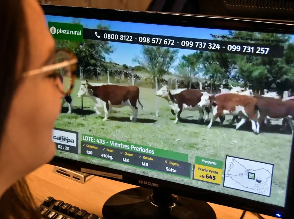 El remate de Plaza Rural se extendió durante cuatro jornadas.