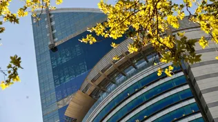 Sutel cuestionó el balance récord de Antel y dice que no condice con la realidad