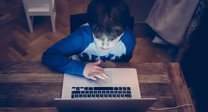 Preocupa el acceso de menores a contenidos pornográficos.