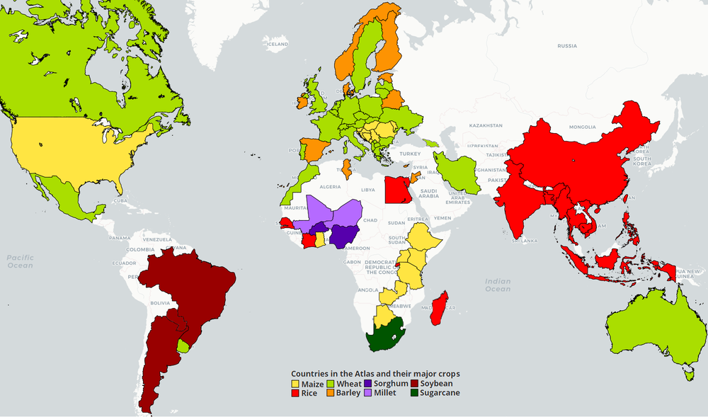 IA aplicada: Atlas Global de Brechas de Rendimiento para trigo.