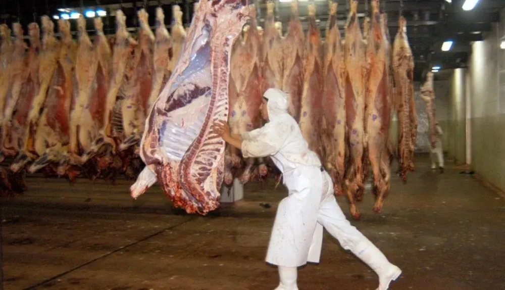 La carne argentina puede volver a EEUU