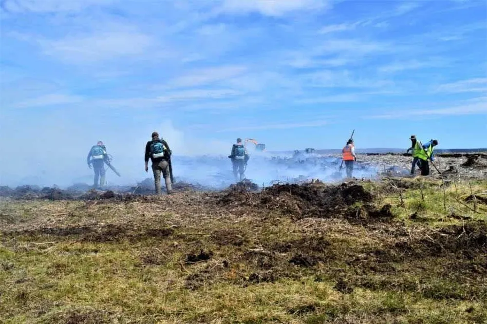 El incendio en la Isla Pájaro, del archipiélago de Malvinas, pone en riesgo a varias especies de aves marinas