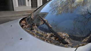 Auto abandonado en Montevideo