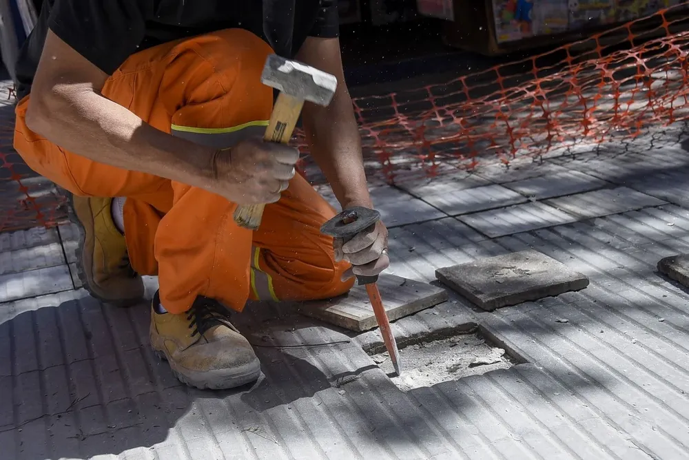 El proyecto avanza en el Parlamento