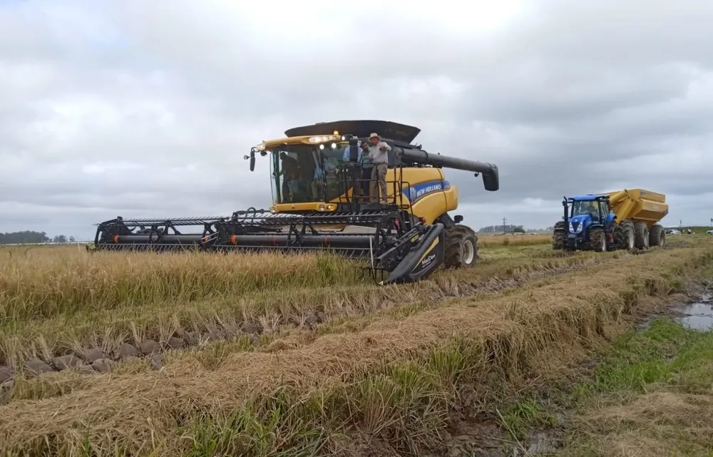 La cosecha de 2021/22 se aproximó al récord logrado un año antes.