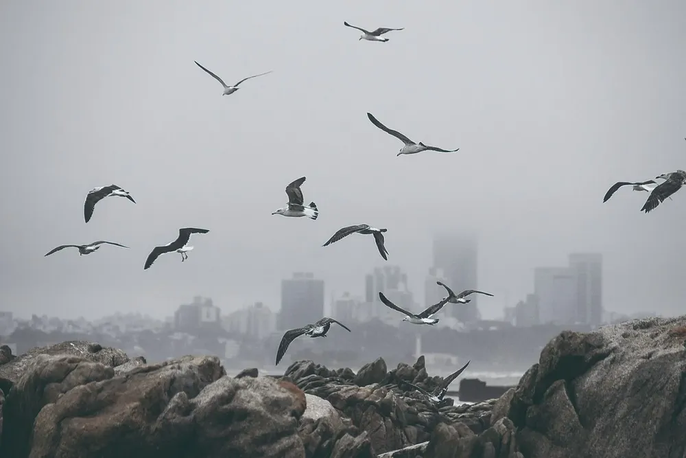 Ola de frío en Montevideo