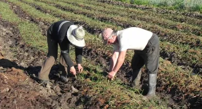 El Observador | 0000141111.webp