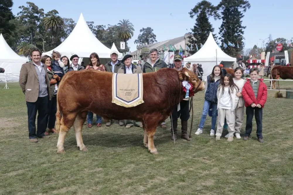 El Gran Campeón Limousin, de la cabaña duraznense El Viejo Pancho, de Severi.