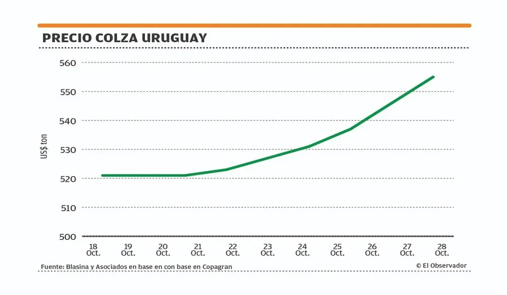 El precio de la colza en nítido ascenso.