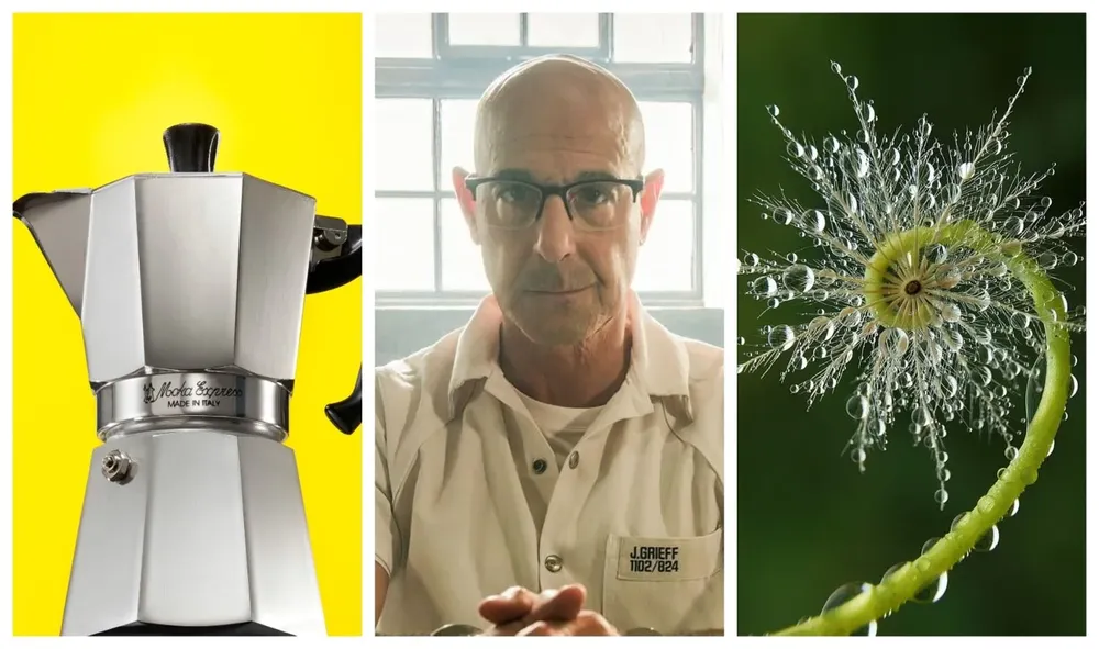 Gastronomía, series y naturaleza, en el Picnic de hoy