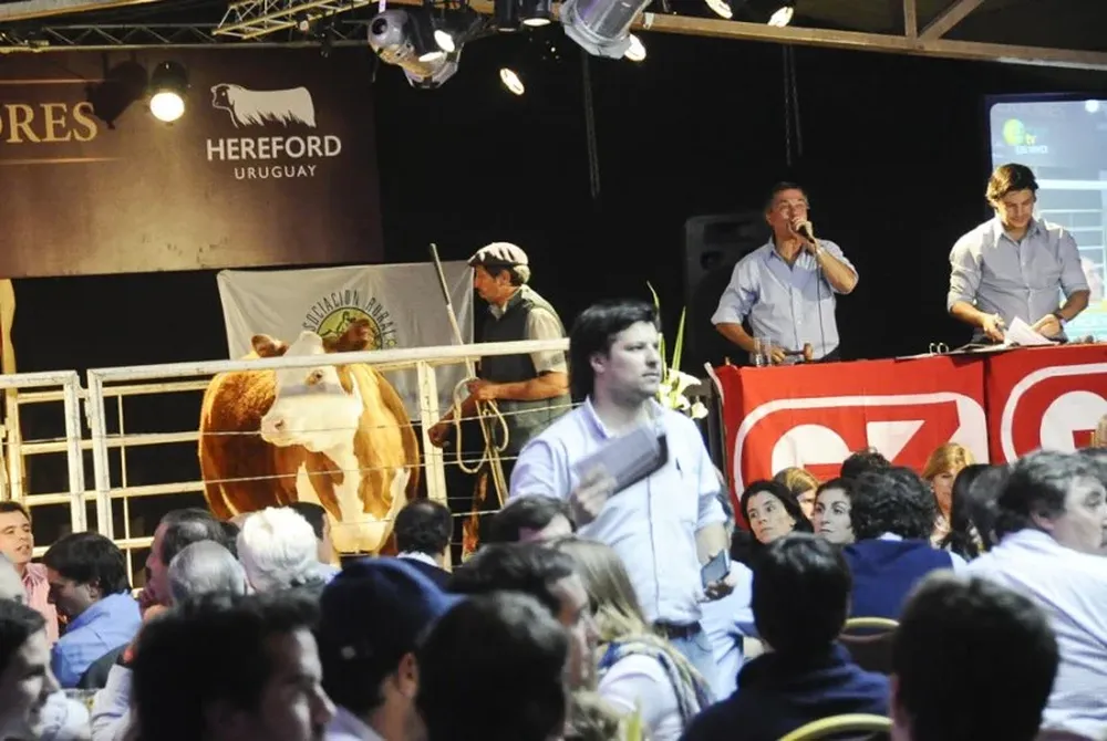 El remate se transmitirá en vivo por Campo TV