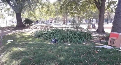otro efecto del coronavirus en montevideo: contenedores desbordados y plazas con pasto alto
