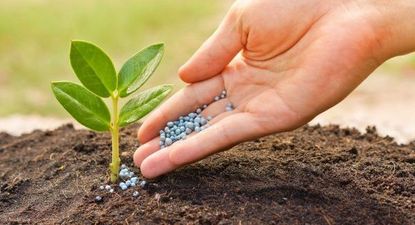 inversion en fertilizantes: dos empresas con potencial de crecimiento en 2024