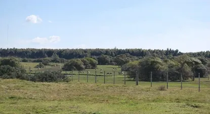 Nuevo desarrollo inmobiliario entre La Paloma y La Pedrera