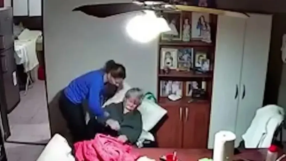 La familia de la víctima descubrió a la agresora a través de una cámara de vigilancia