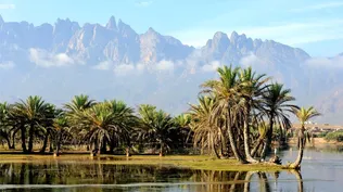 Europa hace una apuesta clave por la biodiversidad