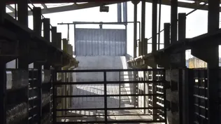 FOICA trasladó al Poder Ejecutivo su molestia con procedimientos de la empresa Marfrig.