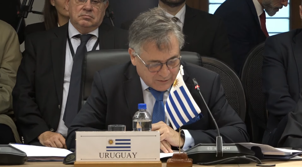 Captura de video de Omar Paganini en conferencia en el Mercosur