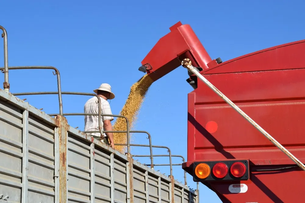 La soja alcanzó los US$ 600 en Chicago.